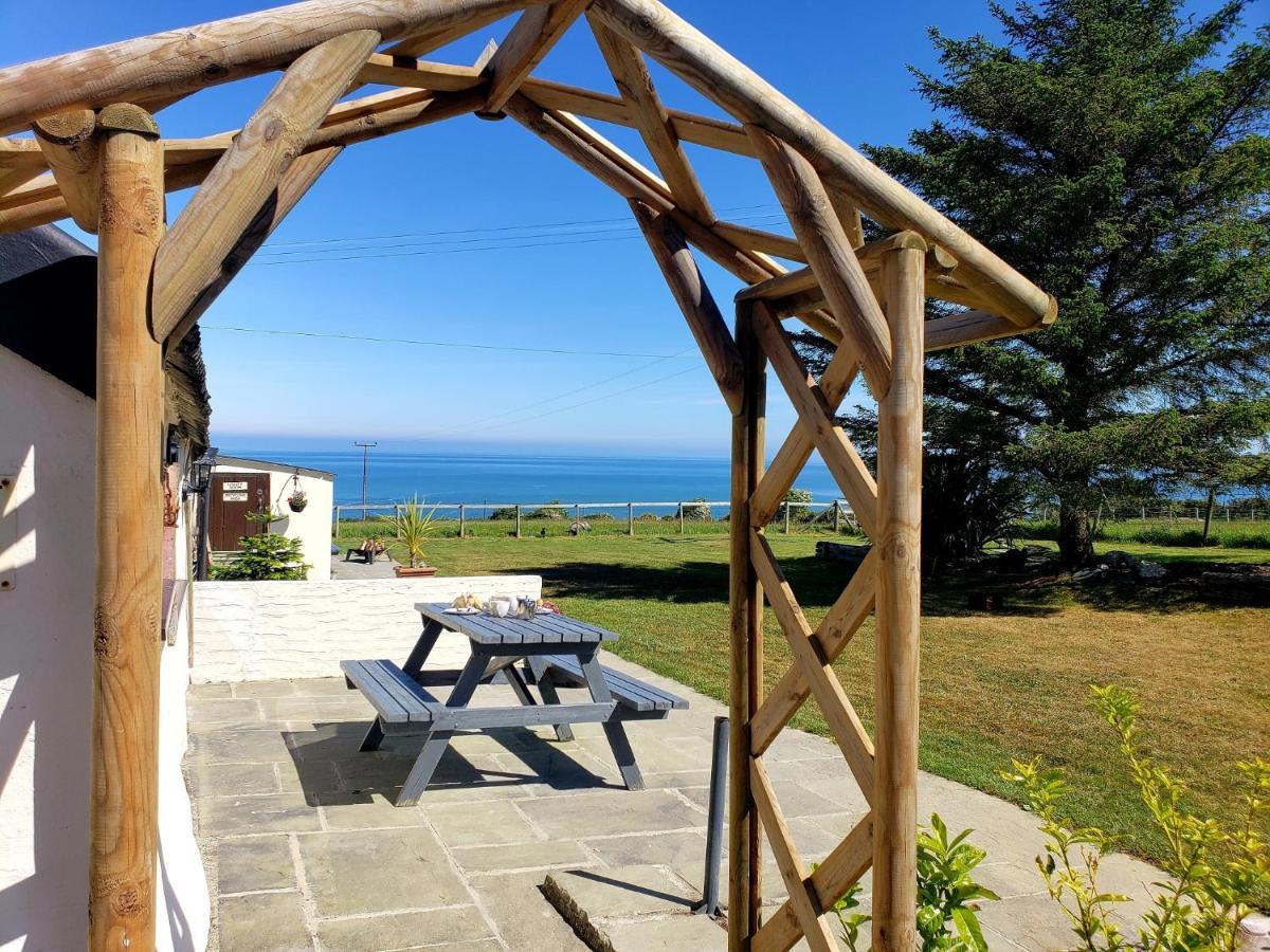 Byre Cottages & Log Cabin 卡迪根 外观 照片