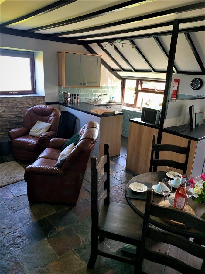 Byre Cottages & Log Cabin 卡迪根 外观 照片