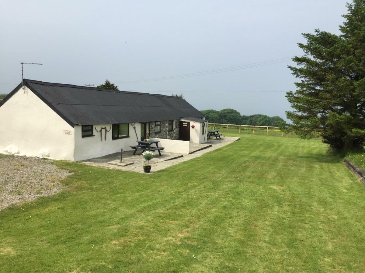 Byre Cottages & Log Cabin 卡迪根 外观 照片